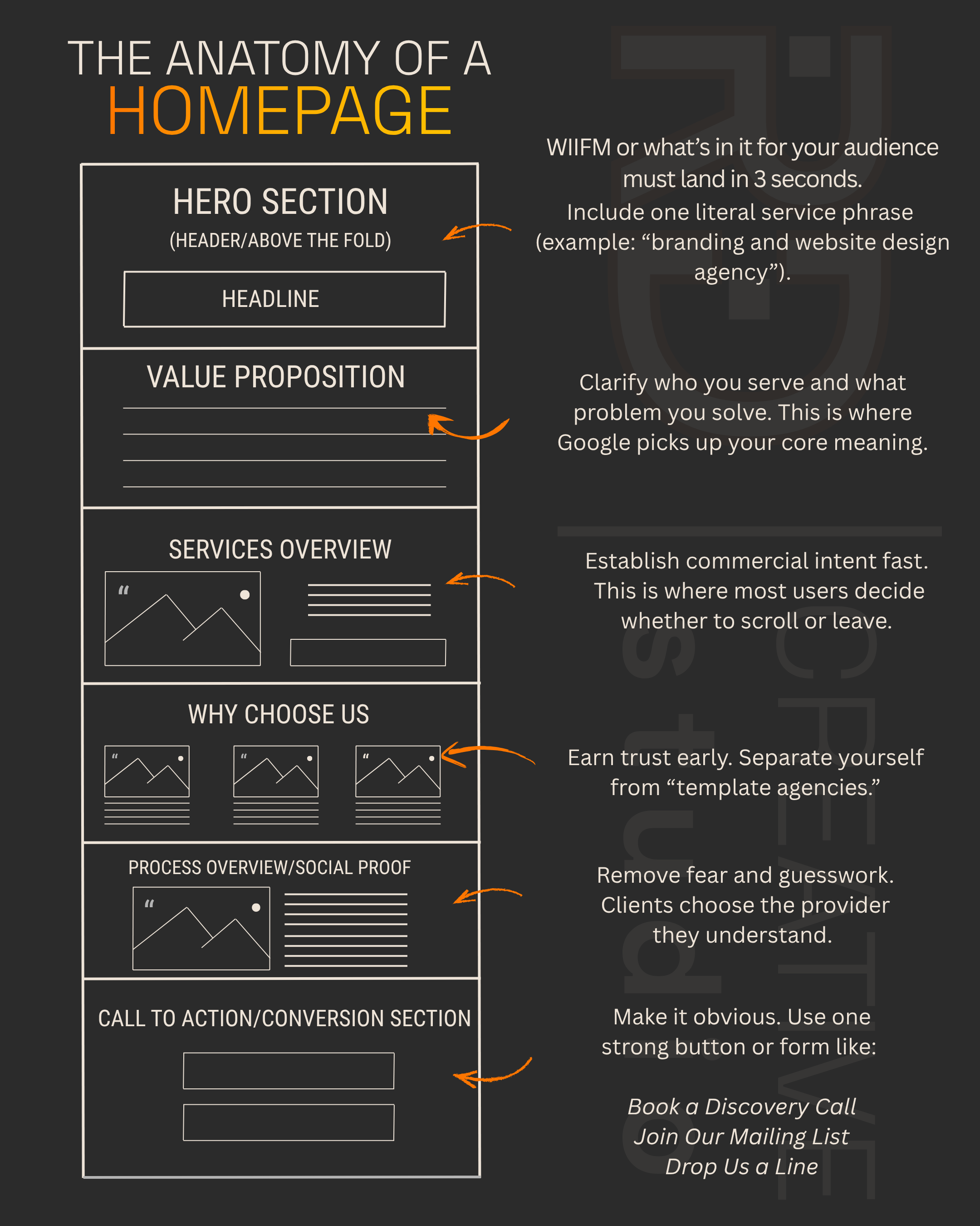 infographic titled “The Anatomy of a Homepage,” showing a wireframe-style homepage layout on the left and labeled sections on the right.